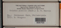 Image Associated With the Occurence
